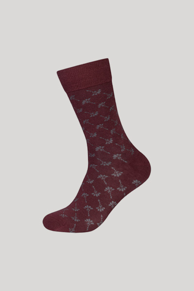 2-er-Pack Men Premium Socken in Dunkelbraun
