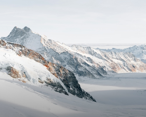 JOOP-world-nav-teaser-sustainability.jpg