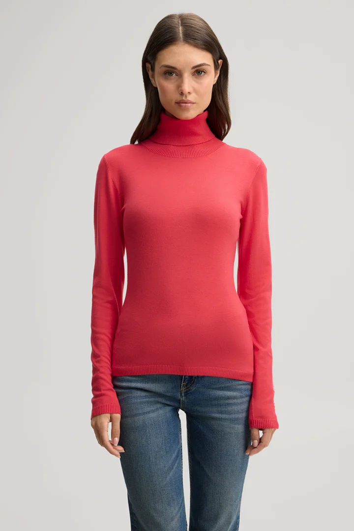 Leads to product detail page "Pink viscose roll-neck jumper"