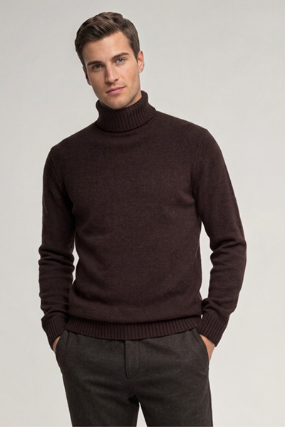 Leads to product detail page "Dark brown woollen turtleneck jumper"