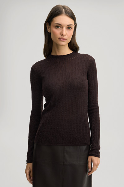 Leads to product detail page "Dark brown woollen jumper with a stand-up collar"