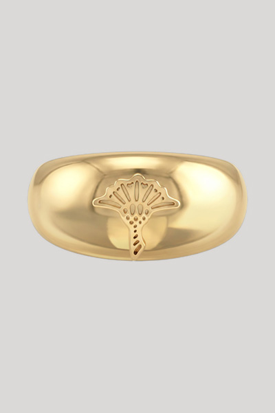 Leads to product detail page "Gold ring"