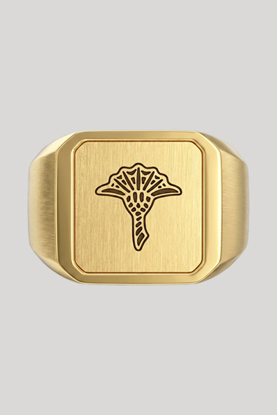 Leads to product detail page "Gold signet ring"