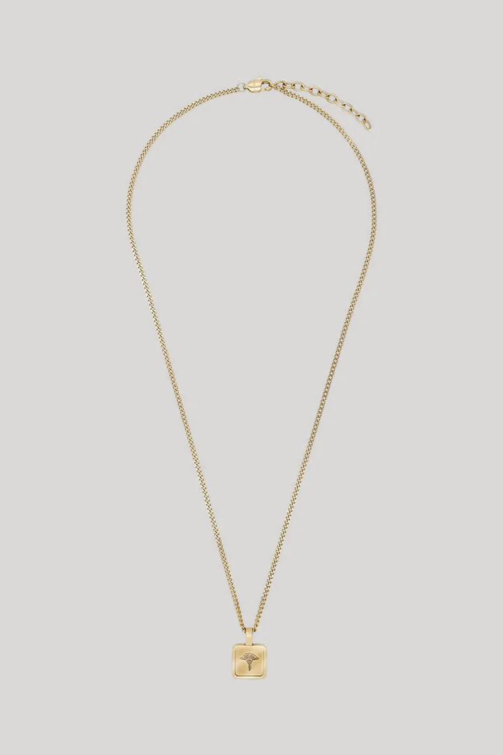 Leads to product detail page "Gold necklace with pendant"