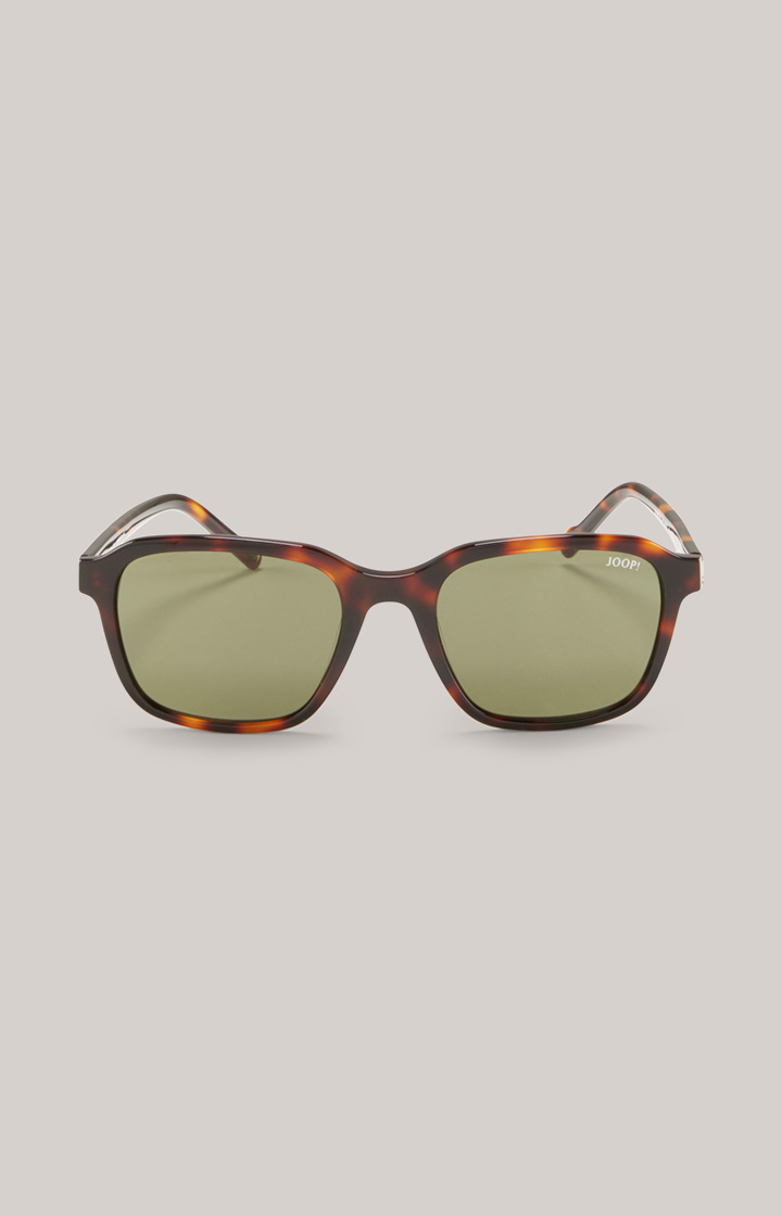 Sunglasses in Brown/Green