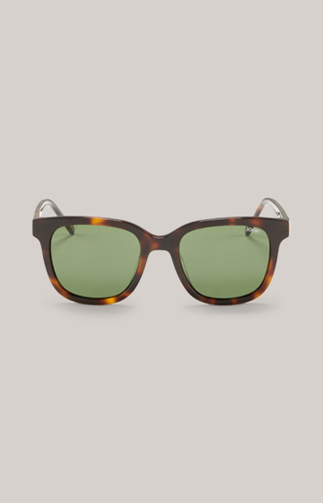 Sonnenbrille in Braun/Grün