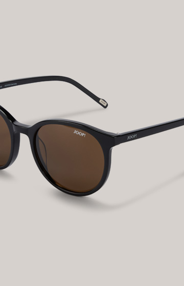 Black/Brown Sunglasses