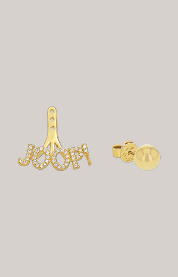 Earrings with Zirconia in Gold
