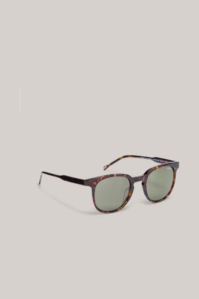 Sunglasses in Green/Brown