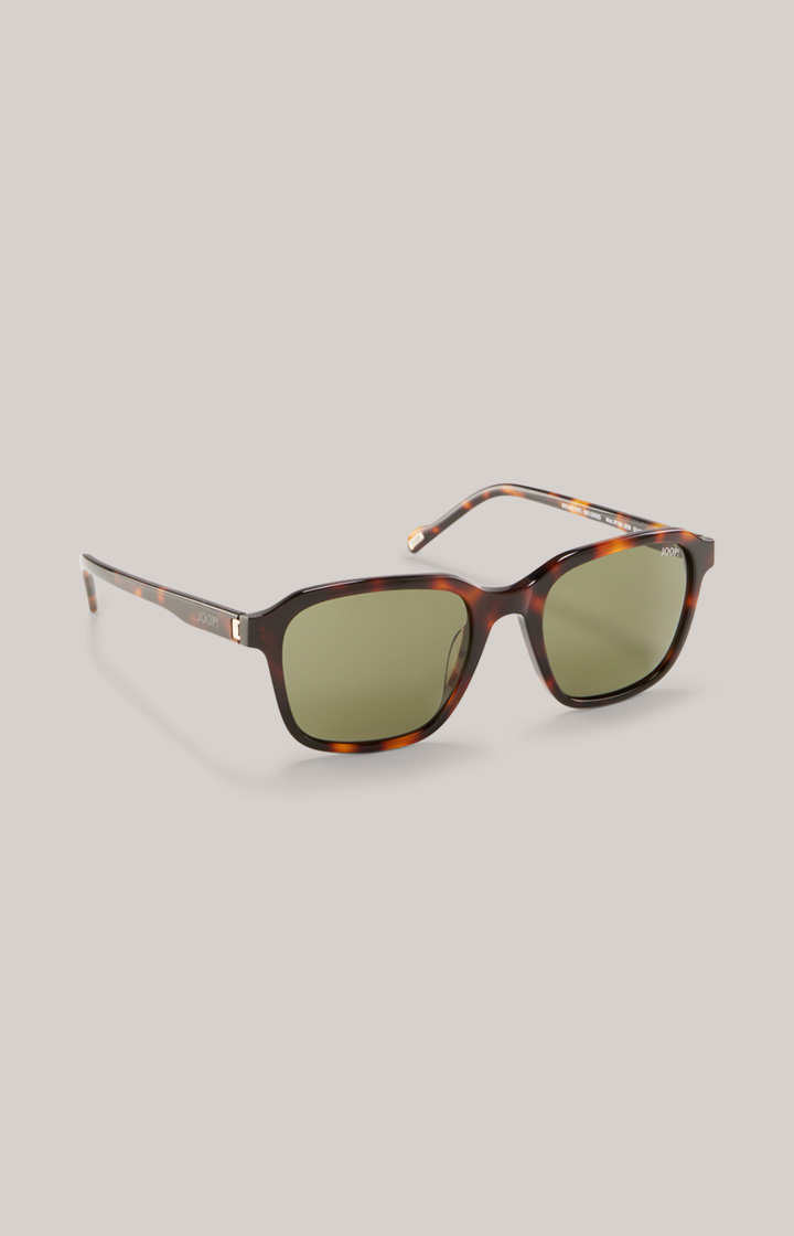 Sunglasses in Brown/Green