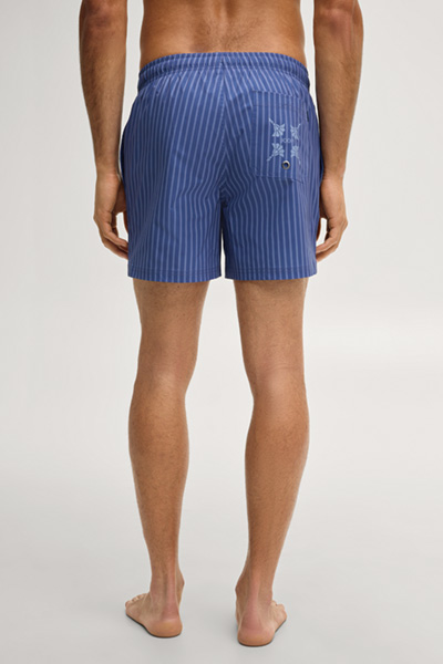 Blue striped swim shorts