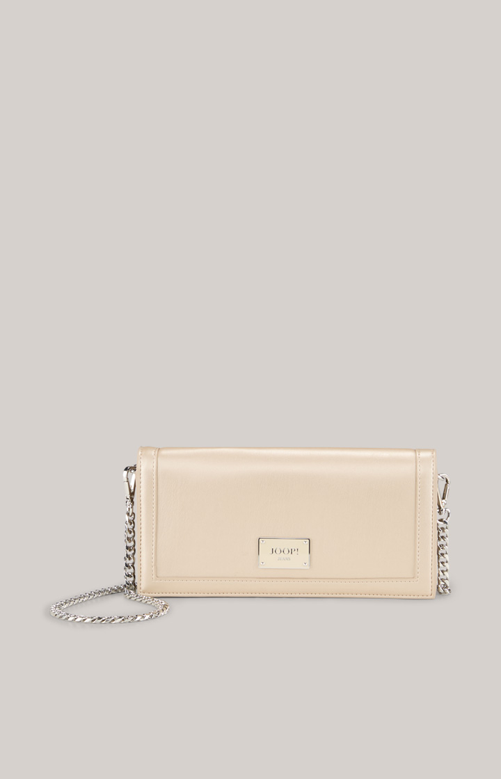 Cadere Franca Clutch in Silver