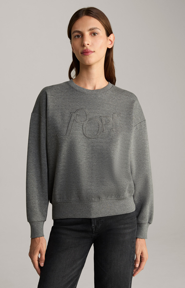 Sweatshirt in Grau