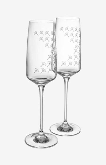Faded Cornflower Champagne Glass - Set of 2