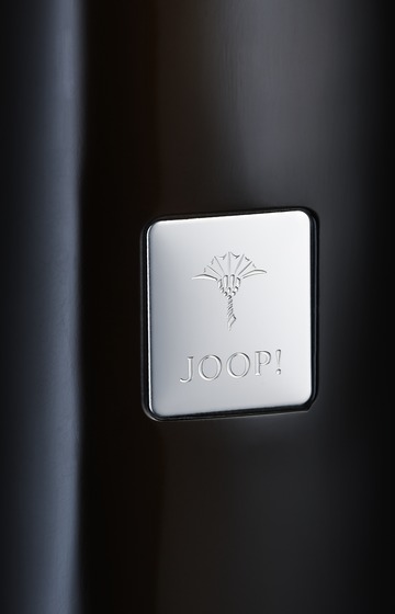 Freistehende WC-Bürstengarnitur Crystal Line in Anthrazit