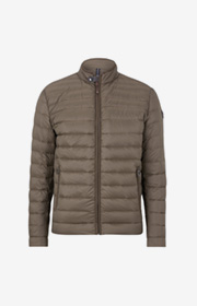 Daunen-Steppjacke Aric in Oliv