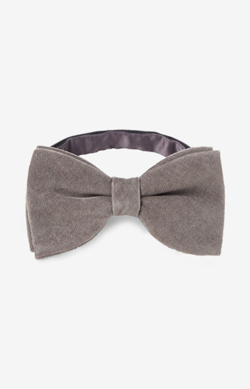 Evening-Fliege in Grau