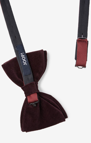 Evening-Fliege in Bordeaux