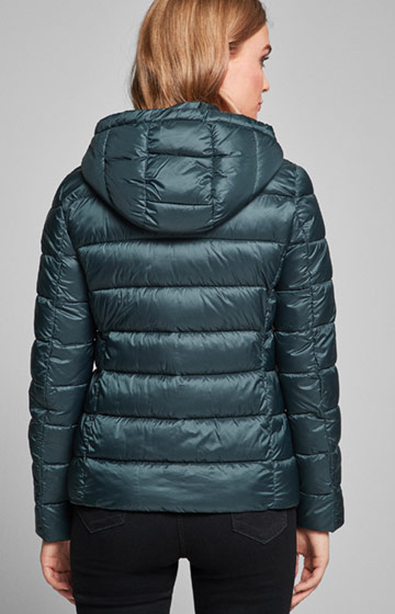 Steppjacke Olin in Dunkelgrün