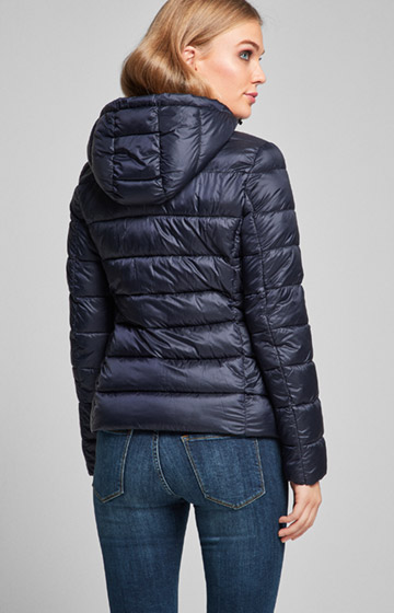 Steppjacke Olin in Navy