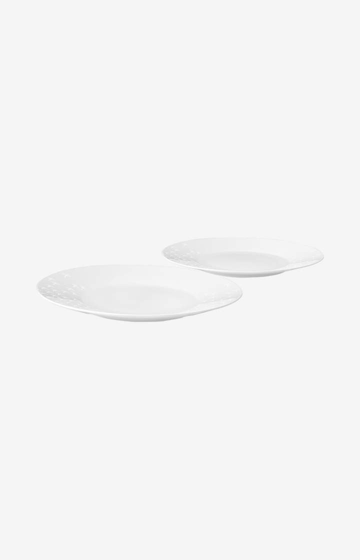 Faded Cornflower Dinner Plate - Set of 2 in White