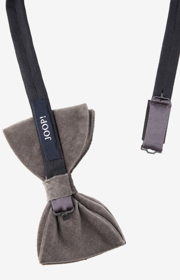 Evening-Fliege in Grau